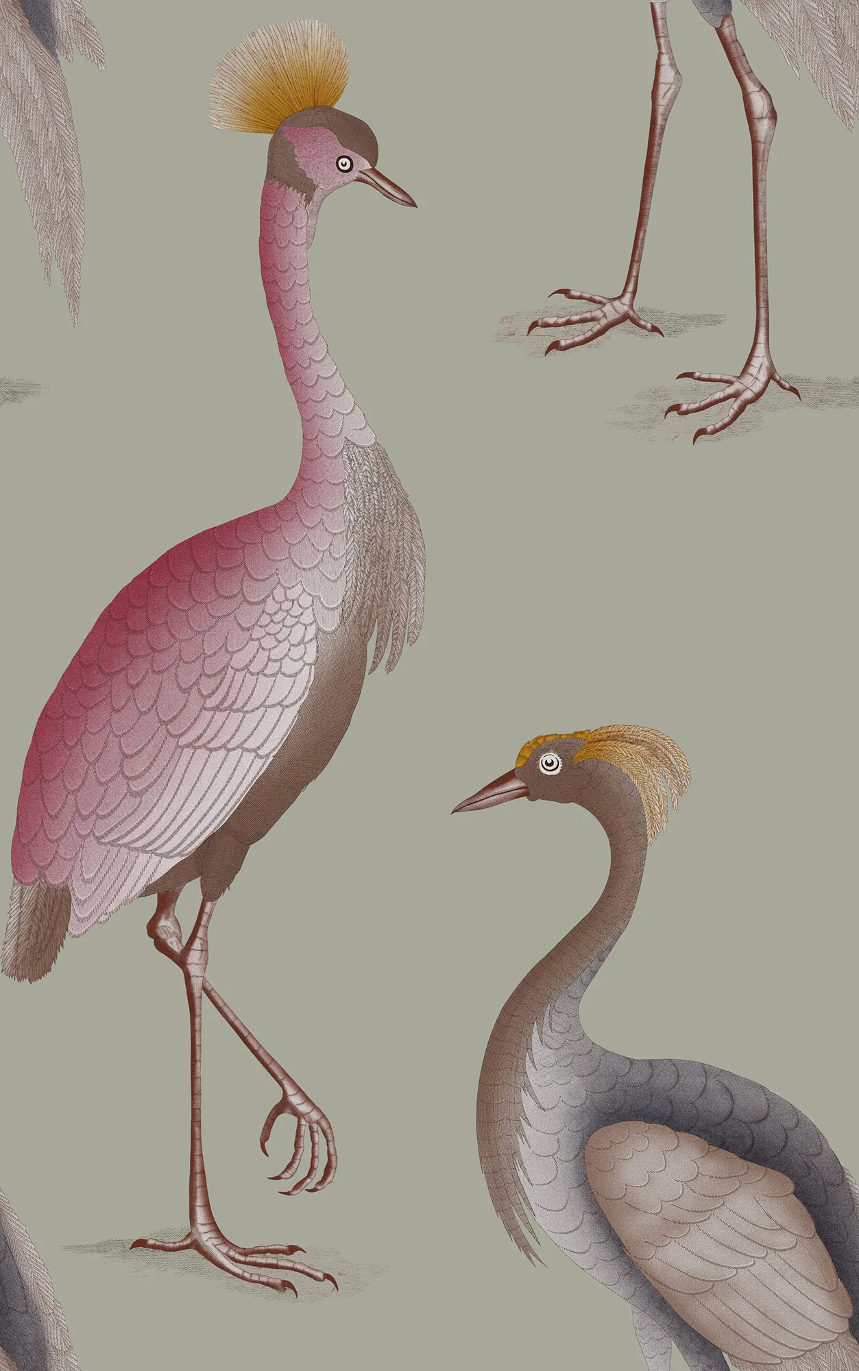 Garzas Gris de Gastón y Daniela – imagen de ambiente
